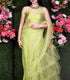 Sheer Neon Frill Mesh Saree