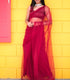 Valentine Red Mesh Saree